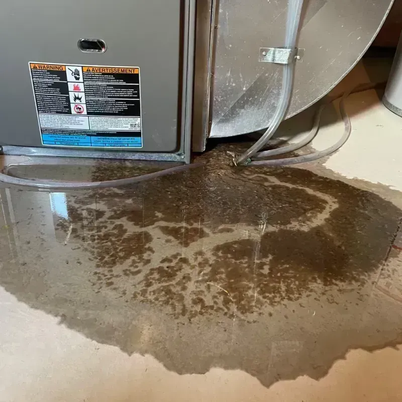 Appliance Leak Cleanup in Murphy, MO